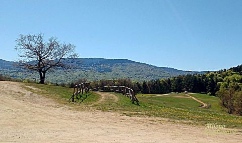 България е на първо място по този показател
