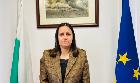 ДНСК с нов шеф