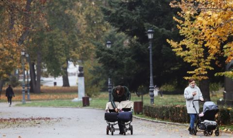 Над 300 предложения за Борисовата градина