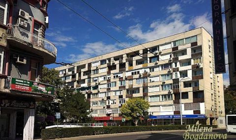 Пандемията не успя да обърне тренда