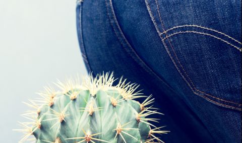 Пет важни неща, които трябва да знаете за хемороидите