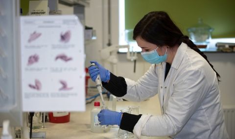 В името на науката! Оксфорд търси доброволци, които да се заразят с COVID-19