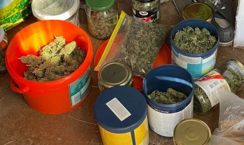 Голямо количество марихуана е иззето при акция в Свогенско