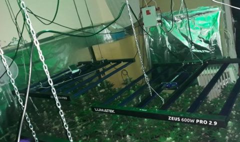 Варненец на гурбет оставил на съсед да стопанисва марихуаната му