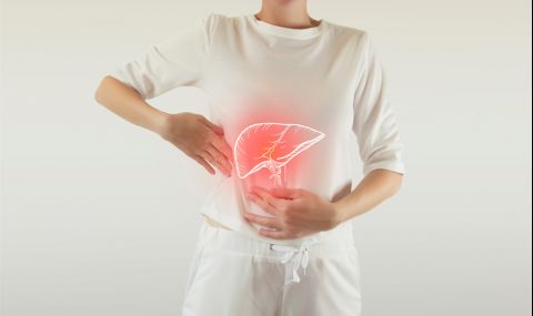 Най-добрите продукти за прочистване от токсини в черния дроб