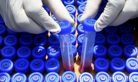 Осем бежанци от Украйна в Свищов са с коронавирус