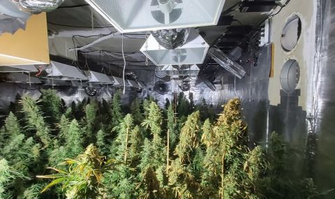 Откриха музей на канабиса