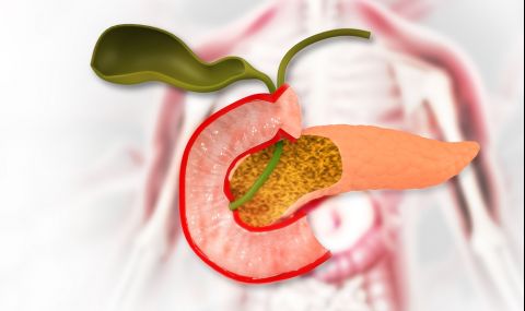 Посочиха полезните храни за панкреаса