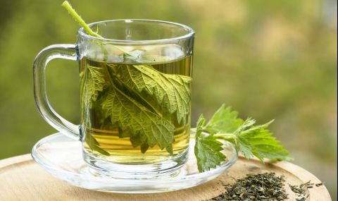 Тази билка е най-мощното средство за пречистване на кръвта