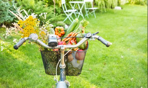 Кои плодове и зеленчуци да ядем през април