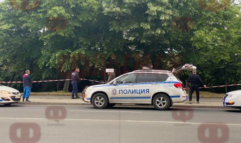 Откриха труп в тресавище в Бургас