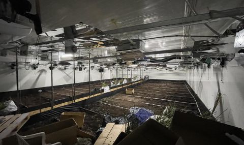 Полицията откри ултрамодерна наркооранжерия в покрайнините на Ботевград