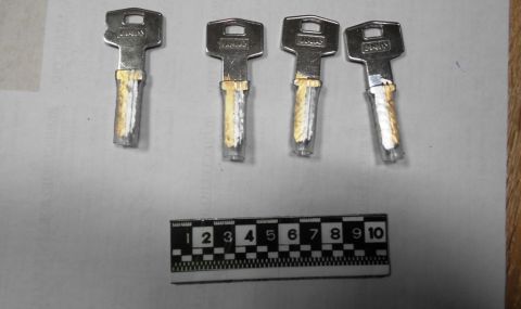 В Пазарджик задържаха столични крадци