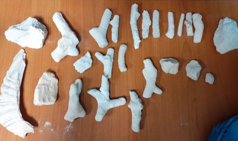 Задържаха парчета защитени корали на Летище София