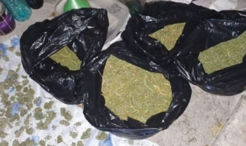 Намериха кило канабис във фирмен офис