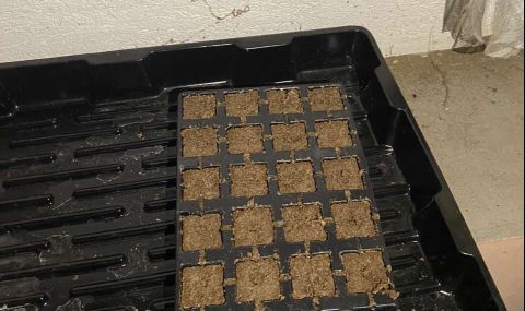 ГДБОП задържа двама за наркотици, оръжие и боеприпас