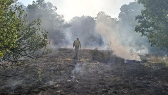 Силният вятър възобнови пожара край костинбродското село Опицвет