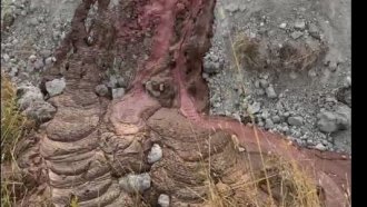 Над 400 овце, заразени с шарка, тихомълком зарити над с. Татарево. Местни твърдят, че снимат кръв в почвата