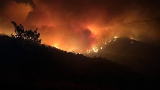 Кози, дронове и още начини за битка с горските пожари