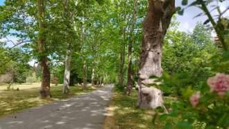 Държавата и общината още си предават парка „Врана“