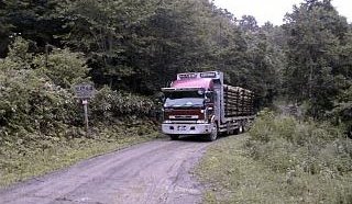 Работещите в горски и ловни стопанства ще блокират магистрала „Тракия“ на 14 юли