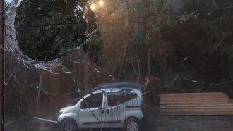 Вандали нападнаха дома на екоактивистка от района на Бобов дол