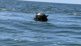 Военните тренират обезвреждане на боеприпаси под водата