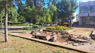 Паднали дървета и проблеми с тока след бурята в Кюстендил