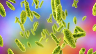 Вътреболнична инфекция отне живота на 7 бебета в Румъния