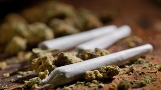 Конфискувани са около 40 тона марихуана в Северна Македония