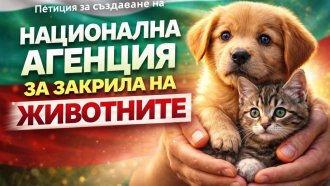 Сдружение настоява за Национална агенция за закрила на животните след случаите с изтезания