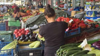 Плодове и зеленчуци поевтиняват на борсите