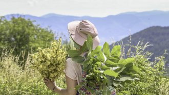 Как горещините разбъркват ума – рискът, който мнозина подценяват